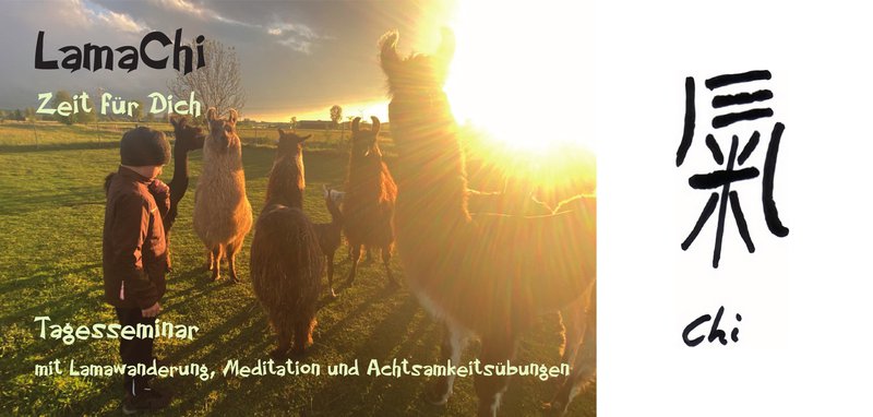 LamaChi, Lamawandern, Mediation, Achtsamkeit, Entspannung, Auszeit, Yoga