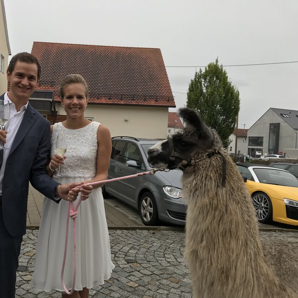 hochzeit